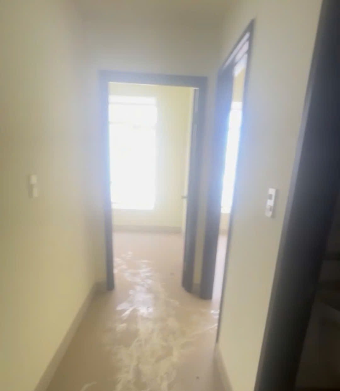 z7121202492863_5bbe2d9e1413bd2529292555497d676d